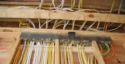 new construction wiring services with organized electrical rough-in performed by licensed electricians in Saint Petersburg, FL